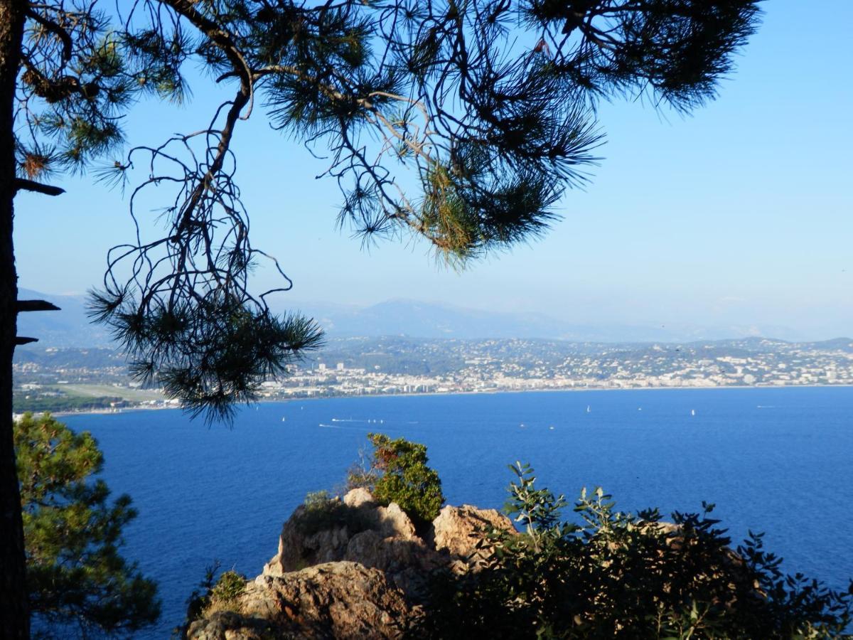 Esterel Terrasses, Roof Top, Plage, Parking Payant Cannes Exterior photo